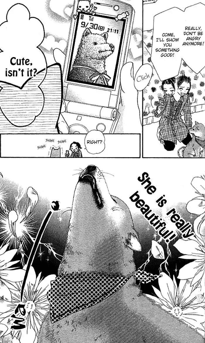 Koibana! Koiseyo Hanabi Chapter 7 9